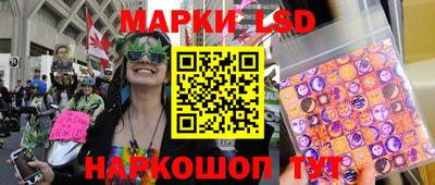 гашик Волжский