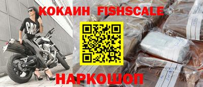 гашик Волжский