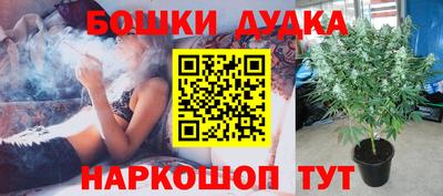 гашик Волжский